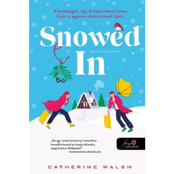 Snowed In - Behavazódva - Fitzpatrick Christmas 2.