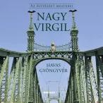 Nagy Virgil