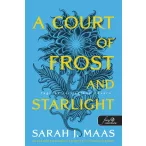   A Court of Frost and Starlight – Fagy és csillagfény udvara (Tüskék és rózsák udvara 4.)