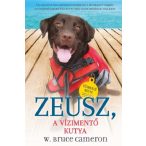 Zeusz, A vízimentő kutya (Kutyák küldetésen 1.)