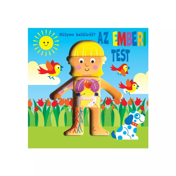 Milyen belülről - Az emberi test