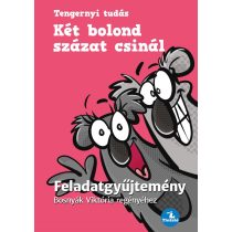   Két bolond százat csinál - Feladatgyűjtemény Bosnyák  Viktória regényéhez
