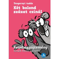   Két bolond százat csinál - Feladatgyűjtemény Bosnyák  Viktória regényéhez
