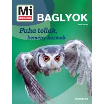 Mi MICSODA Baglyok