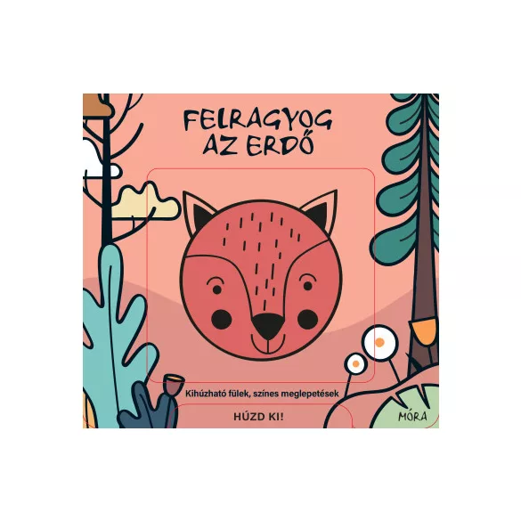Felragyog az erdő