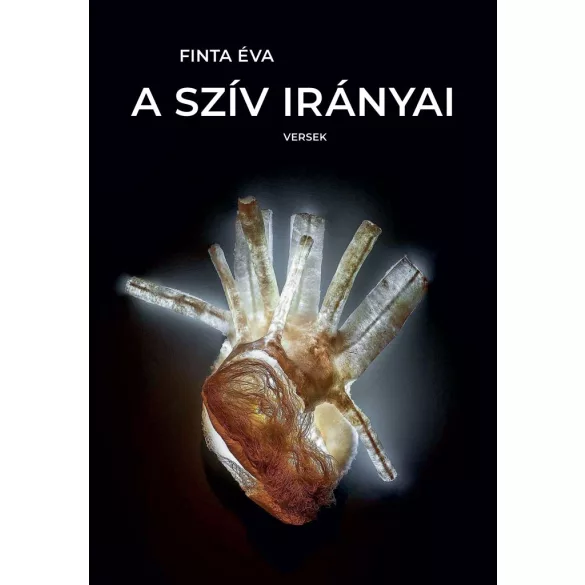 A szív irányai