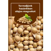 Termeljünk hazánkban olajos magvakat