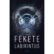 Fekete labirintus