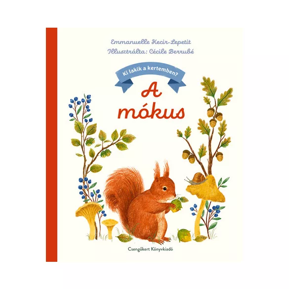 A mókus