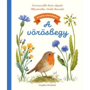 A vörösbegy