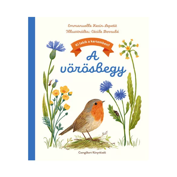 A vörösbegy