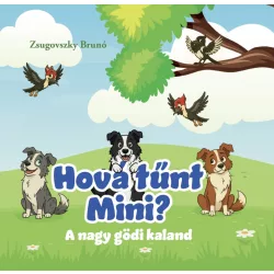 Hová tűnt mini?