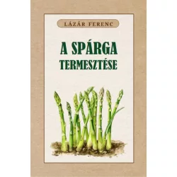 A spárga termesztése