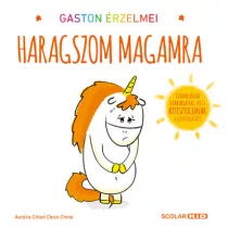 Gaston érzelmei - Haragszom magamra