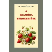A szamóca termesztése