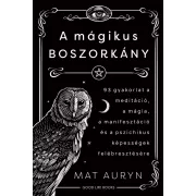 A mágikus boszorkány