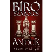 Anjouk X. - A hatalom bástyái