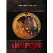 A fekete üveggömb
